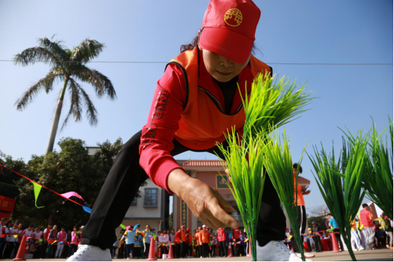 新闻稿:省乡风民俗趣味运动会(湛江站)528.png