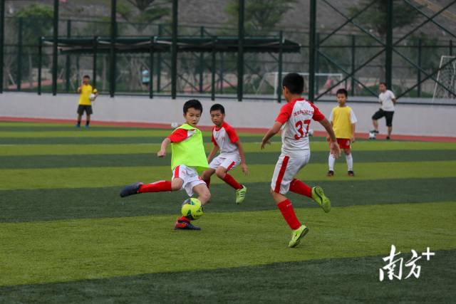 珠海拥有全国青少年足球特色学校51所,广东省校园足球推广学校74所。钱文攀 摄 珠海拥有全国青少年足球特色学校51所,广东省校园足球推广学校74所。钱文攀 摄