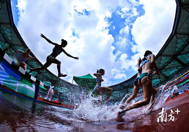 通讯员/受访者 情色小说
 供图