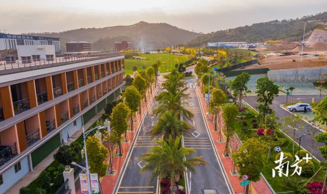 五华横陂足球特色小镇内,一栋栋整齐的运动员公寓伫立在道路一旁。 五华横陂足球特色小镇供图 五华横陂足球特色小镇内,一栋栋整齐的运动员公寓伫立在道路一旁。 五华横陂足球特色小镇供图