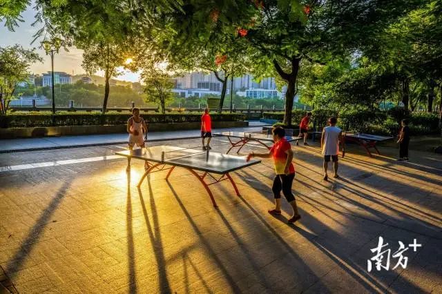 公园内,市民自觉遵守公共场所文明礼仪,文明开展健身锻炼。南方日报记者 何森垚 摄 图片