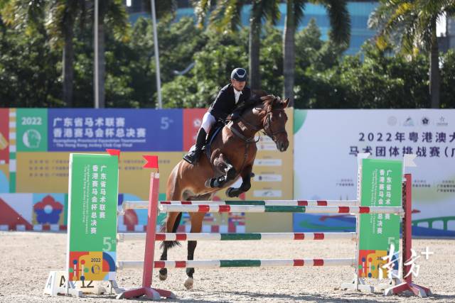 120cm比赛。 120cm比赛。