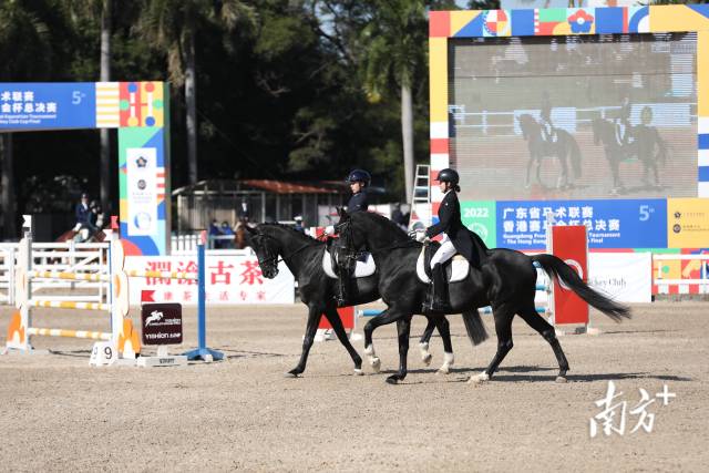 盛装舞步表演。 盛装舞步表演。