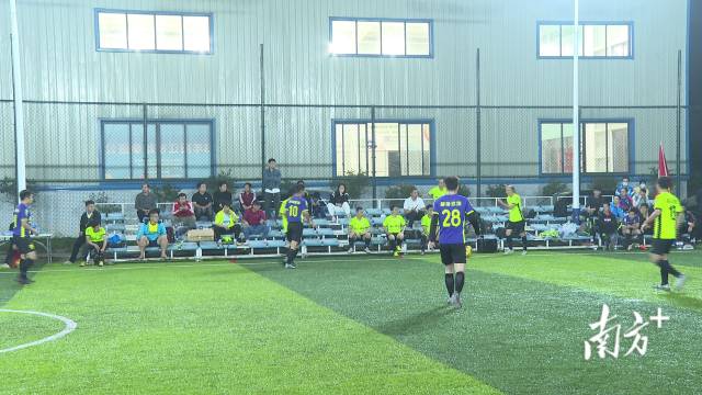 9支代表队在阳西绿茵场展开角逐。