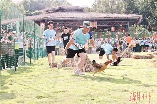 抓禽比赛。 抓禽比赛。