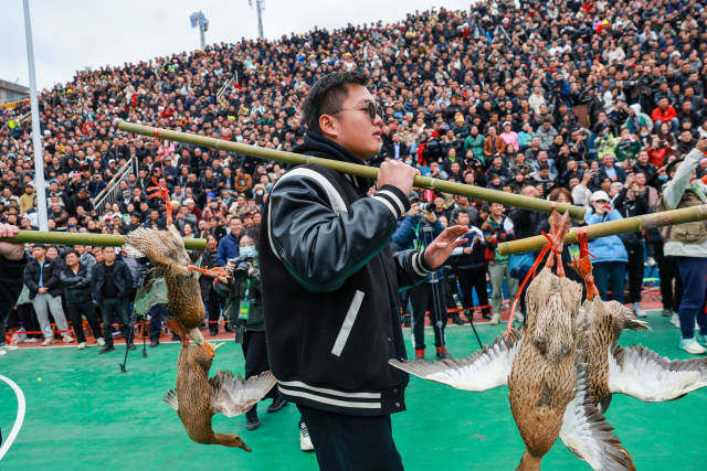 村民挑着当地农特产品“三穗麻鸭”进入赛场。新华社发 村民挑着当地农特产品“三穗麻鸭”进入赛场。新华社发
