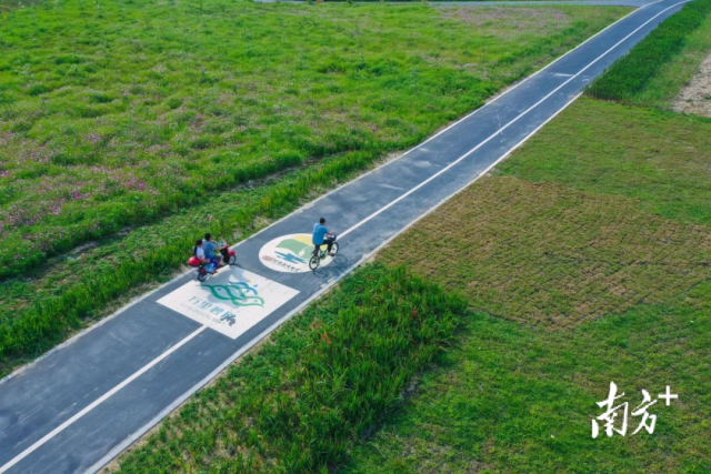 省级体育赛事因优良的生态、保存完好的村落而来到丹灶。图为广东南海金沙岛国家湿地公园优美的生态环境。通讯员供图 省级体育赛事因优良的生态、保存完好的村落而来到丹灶。图为广东南海金沙岛国家湿地公园优美的生态环境。通讯员供图