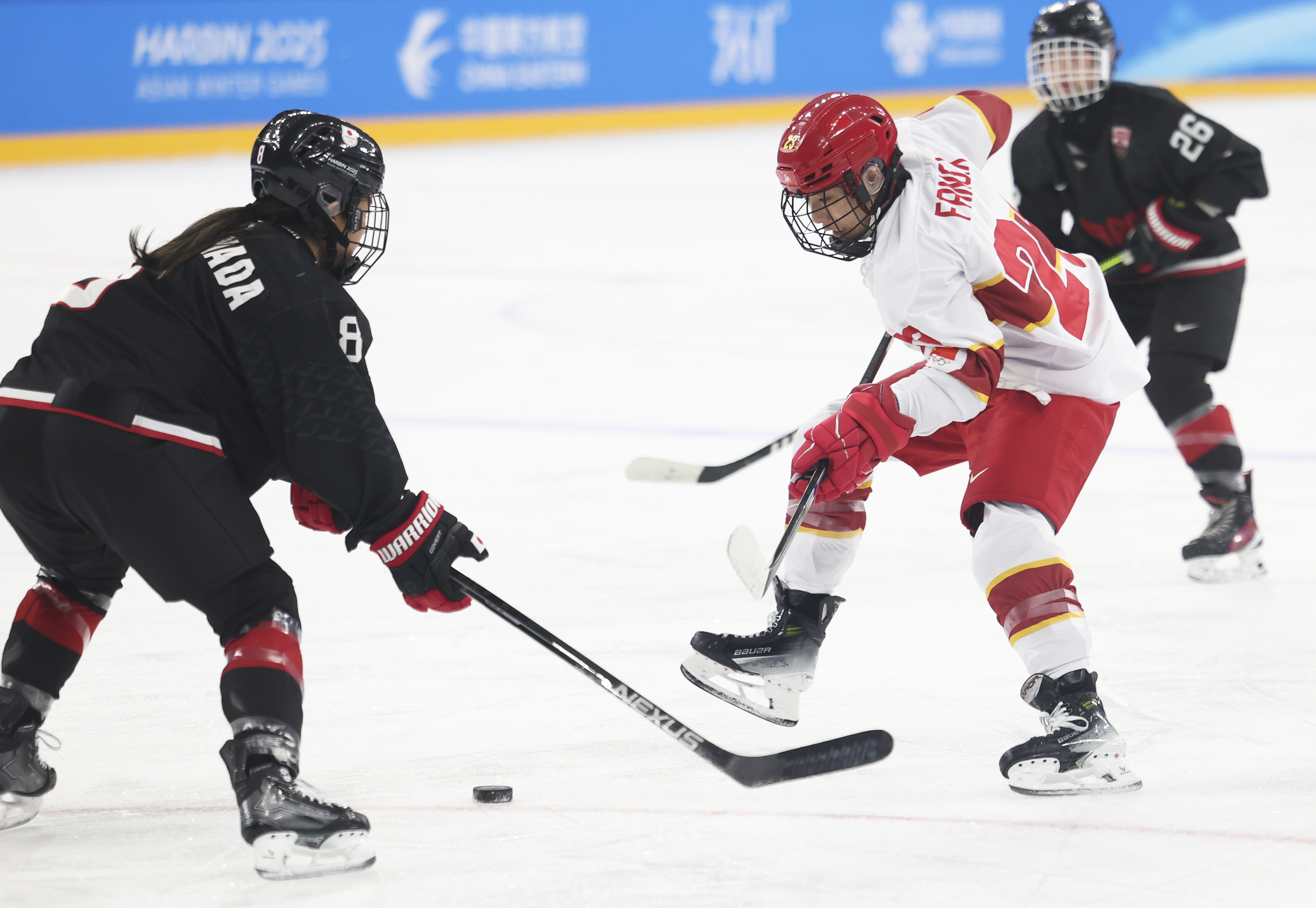 (亚冬会)冰球——女子小组赛:中国队对阵日本队+XxjpseC007484_20250214_PEPFN0A001.JPG