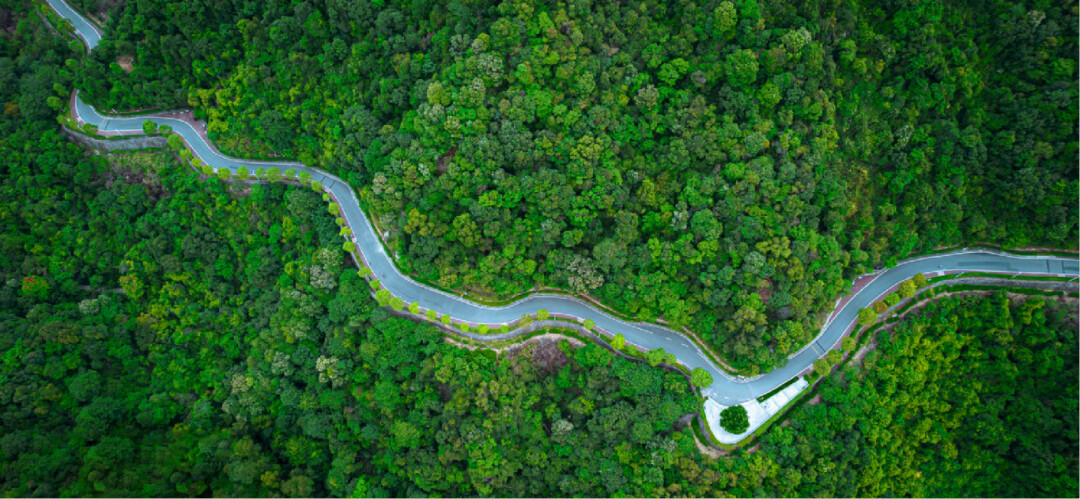 天河区将结合森林步道的基础设施提升,同步启动文旅项目策划及运营工作,通过引入登山徒步、越野跑、马拉松等多种赛事活动,引入社会各方力量共同运营。图源:广州市生态环境局天河分局